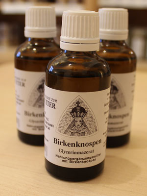 Birkenknospen