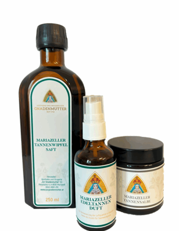 Paquete de Navidad Abeto